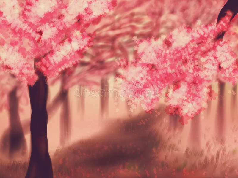 Blooming Sakura Trees