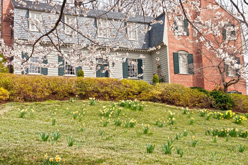 Blooming spring at family house front lawn royalty free stock photo Blooming spring at family house front lawn royalty free stock photo