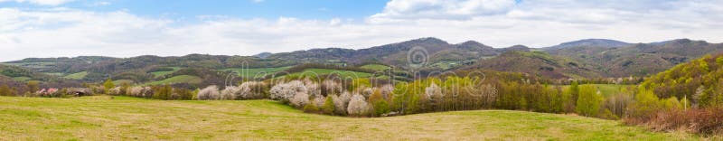 Blooming trees and the panorama of the mountains