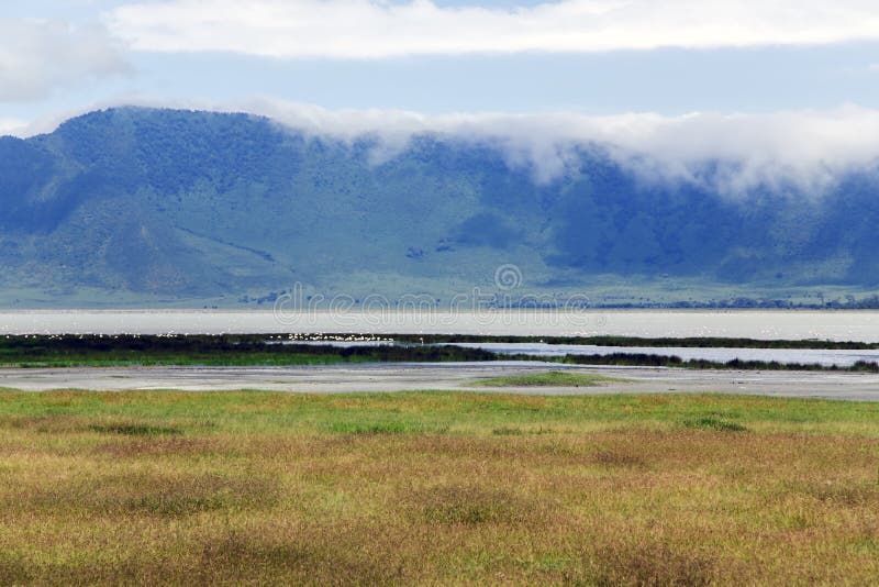 Blooming Valley in the Ngorongoro Crater Conservation Area