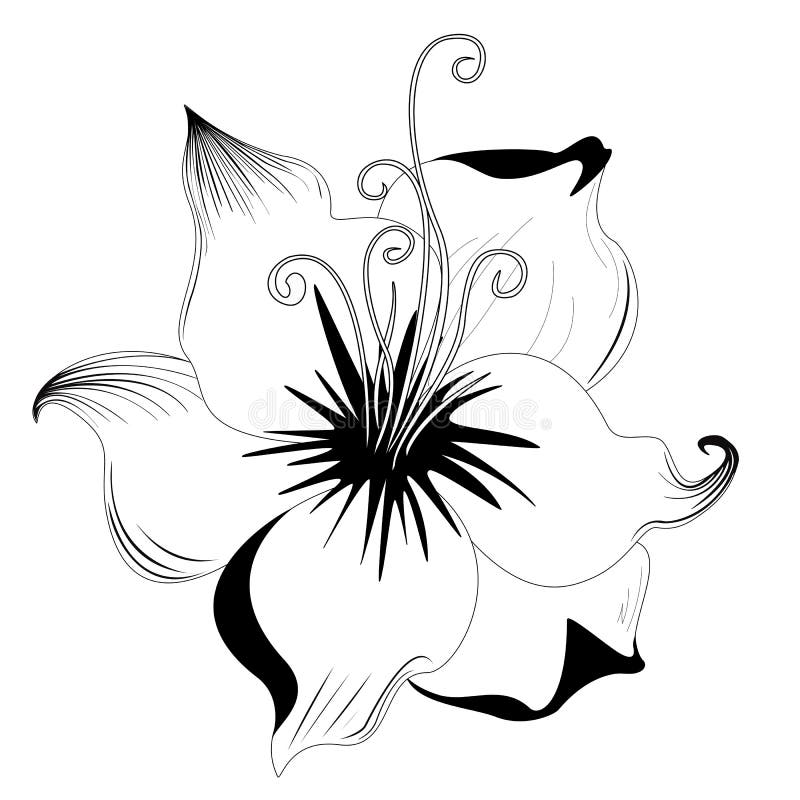 Black Lily Silhouette. Flowers Stencil Wall Art Stock Vector ...
