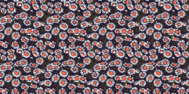 Blooming white chamomile flowers seamless pattern on a dark background. Vector hand drawing. Abstract artistic wild daisy floral vector illustration