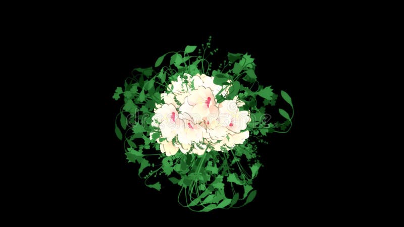 Blooming White Flowers and Leaves Animation Graphic Element. Alpha Channel  Included. Stock Footage - Video of backdrop, blooming: 89227968