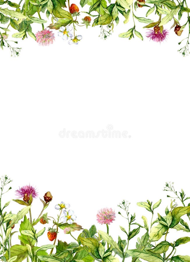 Blossom flowers, spring grass, herbs. Floral frame border. Watercolor