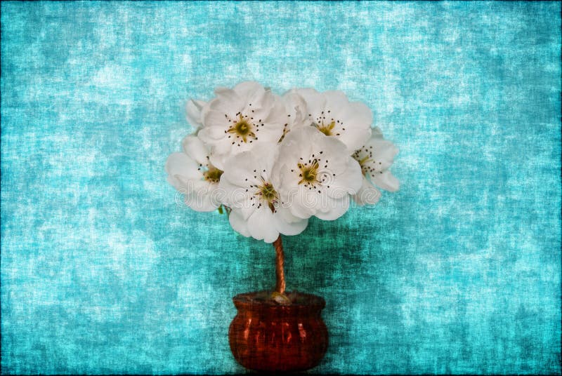 Blossoming tree on a blue background