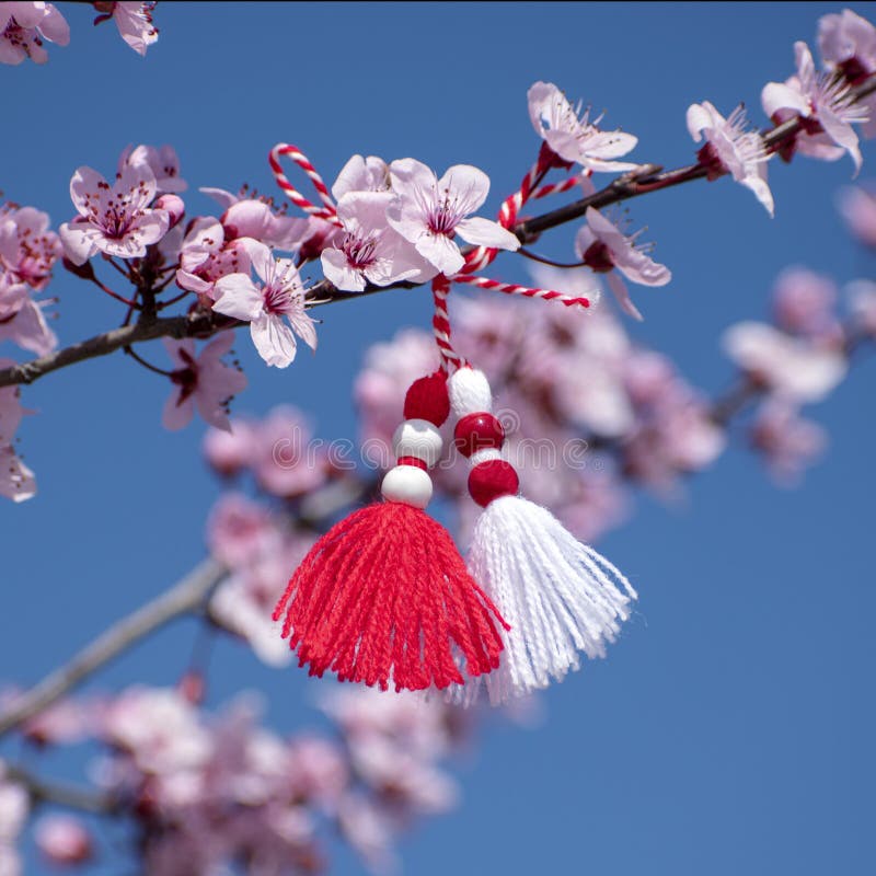 Blossoming tree branch and martenitsa against blue sky. Martisor and spring bloom. Baba Marta Day - Bulgarian holiday