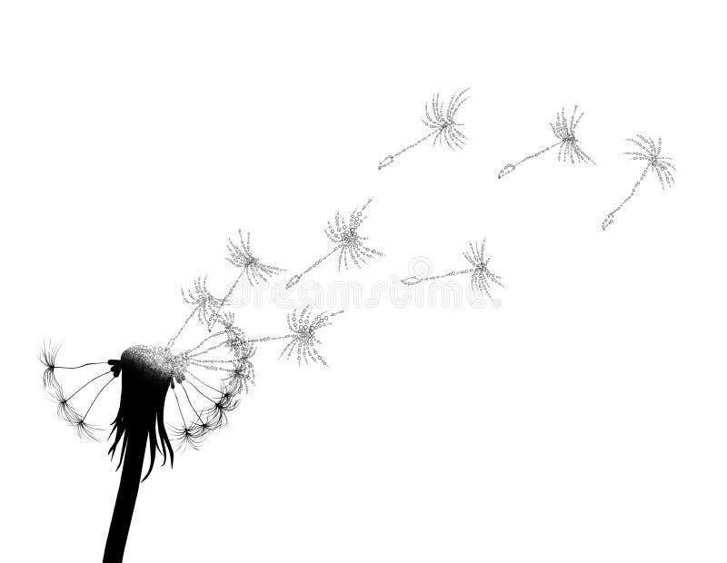 Blow dandelion