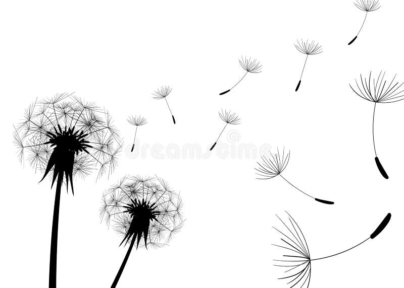 Download Blow Dandelion. Vector stock vector. Illustration of ...