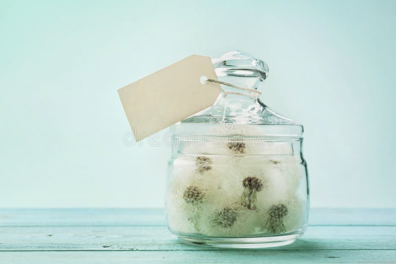 Blowball or dandelion in wishing jar with paper tag, vintage turquoise background, make a wish concept, unusual gift or present royalty free stock image Blowball or dandelion in wishing jar with paper tag, vintage turquoise background, make a wish concept, unusual gift or present royalty free stock image