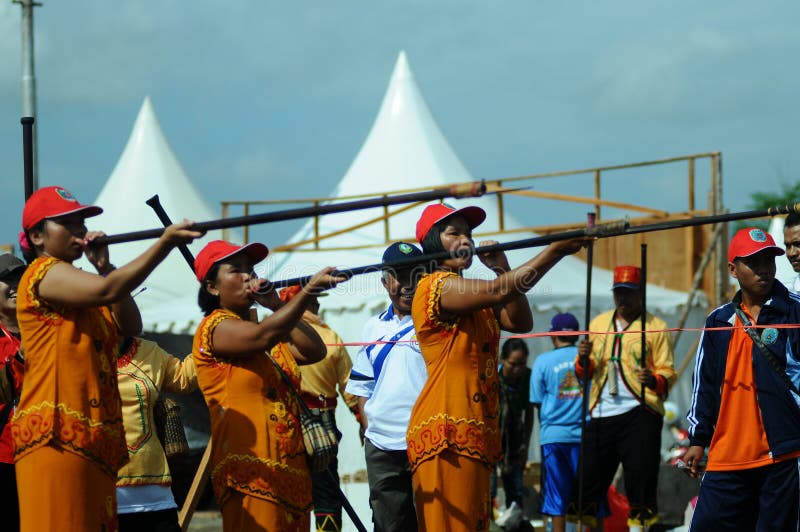 Blowgun competition editorial photography. Image of celebration - 234042802
