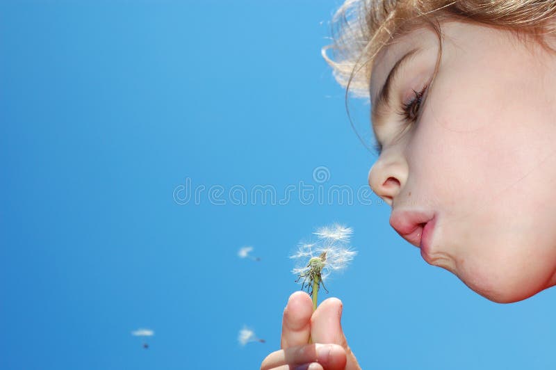 Blowing away dandelion seeds