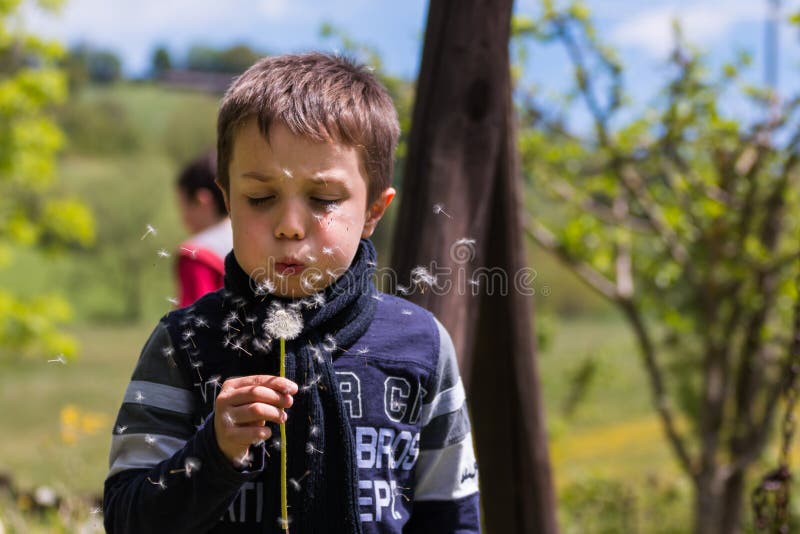 Blowing Dandelion Seeds in the Wind