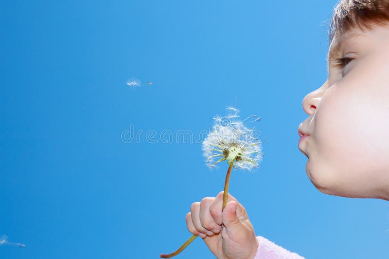 Blowing dandelions away