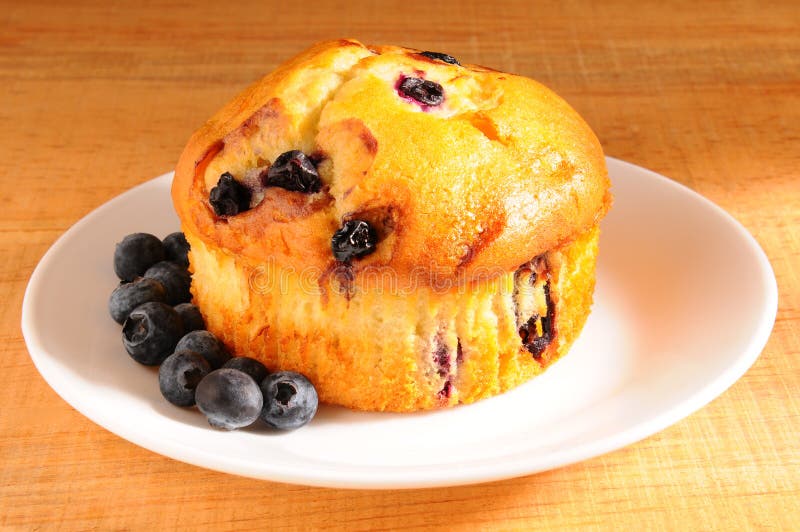 Bluberry Muffin on Plate berries