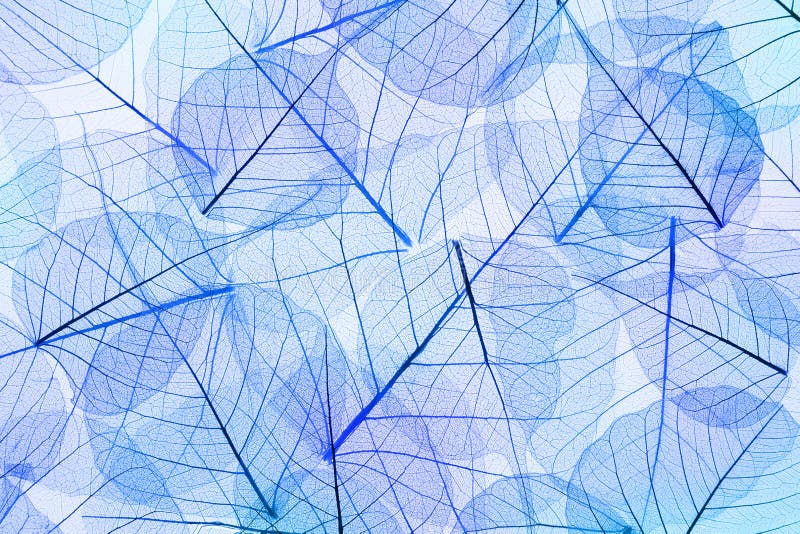 Blue Abstract Leaves Background - transparent cell structure