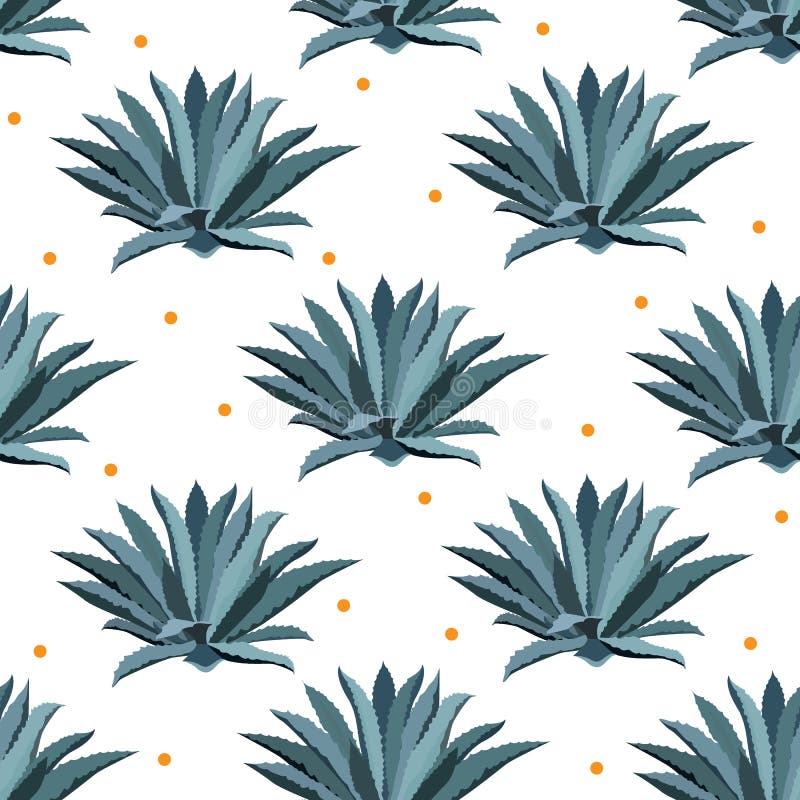 Blue agave vector seamless pattern. Background for tequila packs, superfood with agave syrop, and other. Succulent royalty free illustration