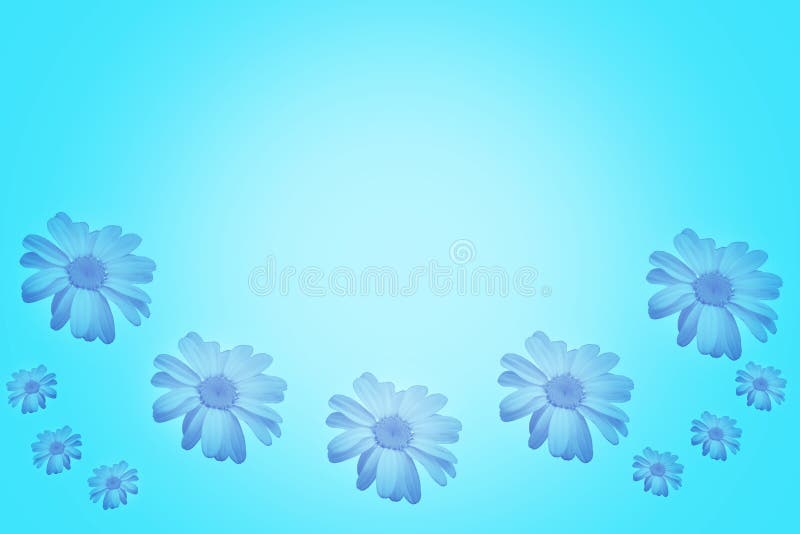 Blue Background with Beautiful Daisies Stock Illustration