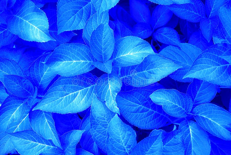 Neadle Stock Photos - Free & Royalty-Free Stock Photos from Neadle Stock Photos - Free & Royalty-Free Stock Photos from