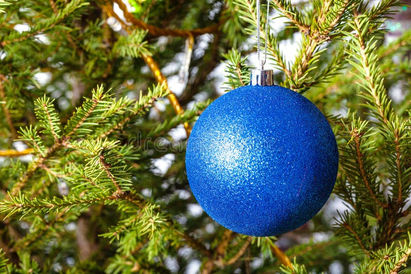 Blue Ball on Twigs of Natural Christmas Tree Stock Image - Image of ...