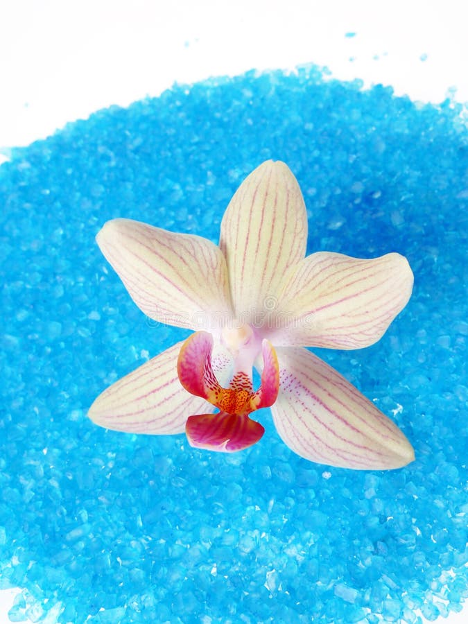 Blue Bath Sea Salt with Orchid Stock Image Image of color, petal