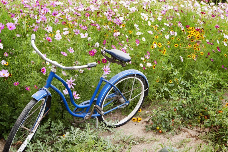 Blue Bicycle Flowers Garden