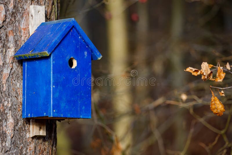 Blue bird house stock image. Image of garden, house 205834583
