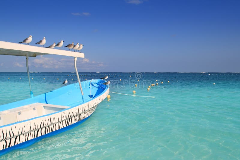 Blue boat seagulls Caribbean turquoise sea