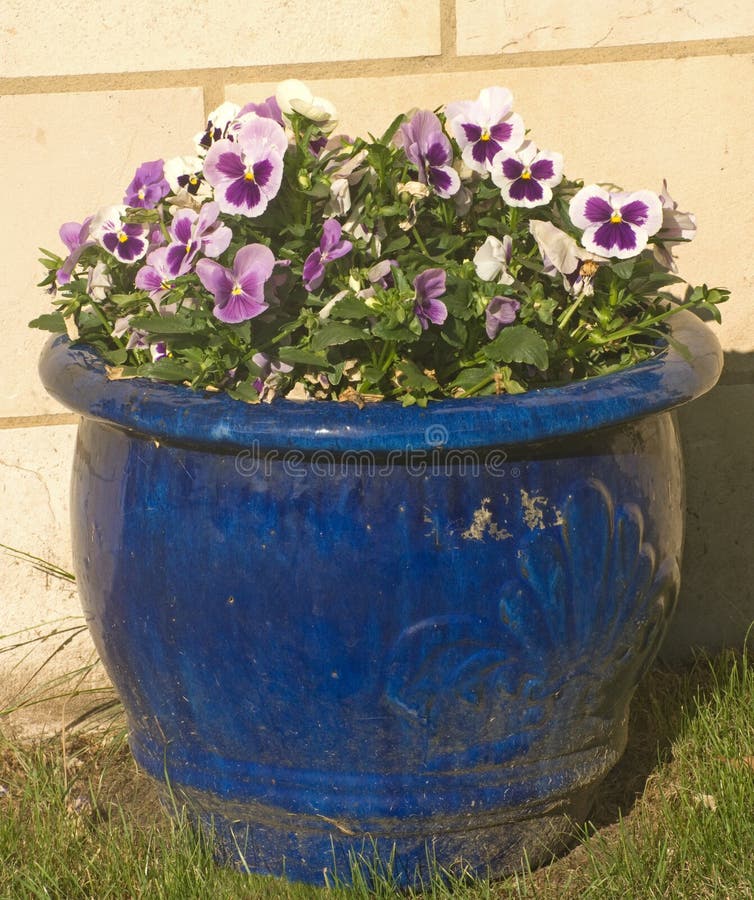 Blue bowl of pansies set against a stone wall.