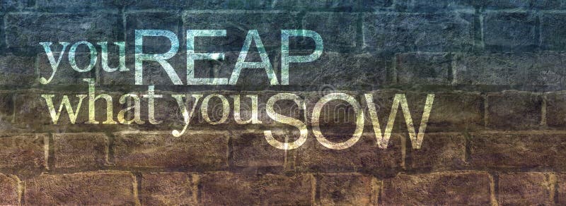 You reap what you sow message banner