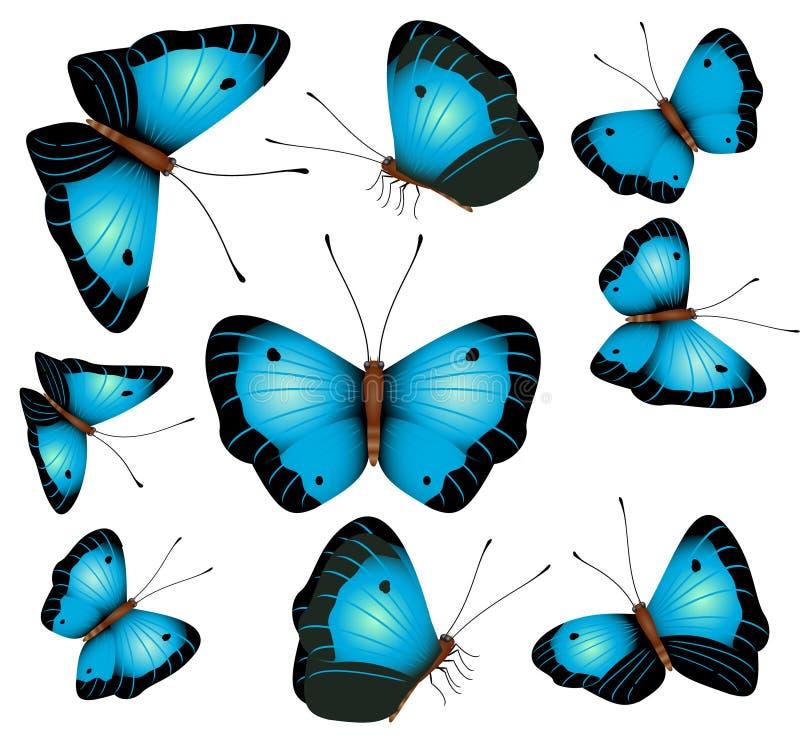 Blue butterflies isolated on a white background royalty free illustration