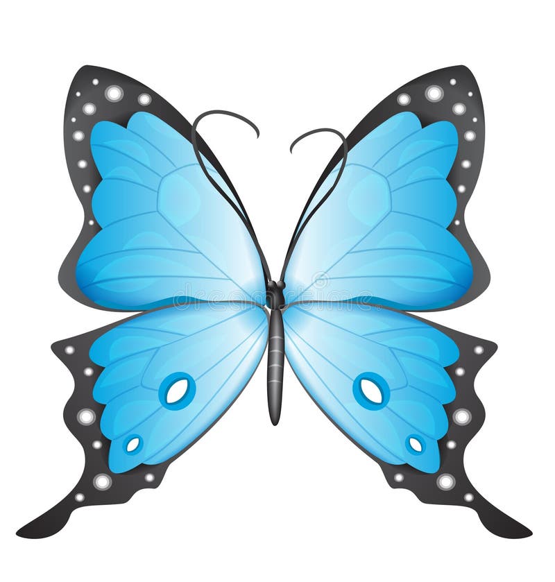 Set of Beautiful Blue Butterflies. Stock Vector Illustration of