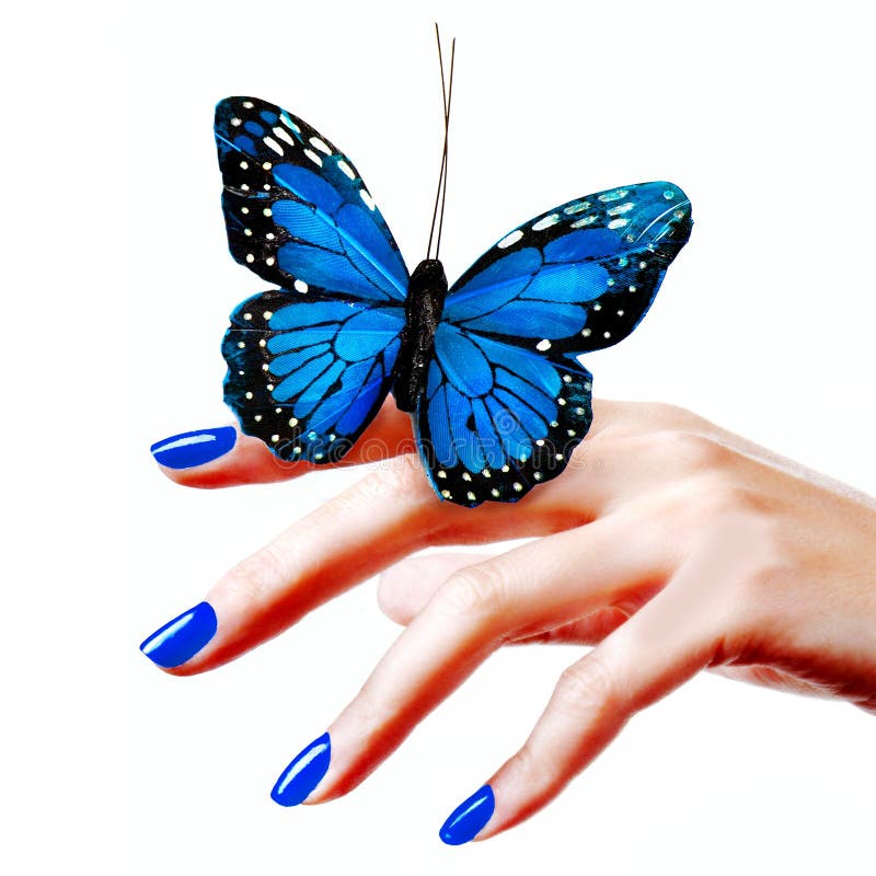 Azul mariposa sobre el mano.
