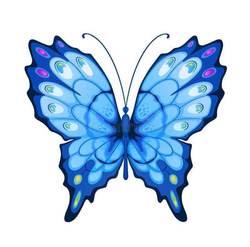 Blue butterfly stock illustration. Illustration of ornate 52001204