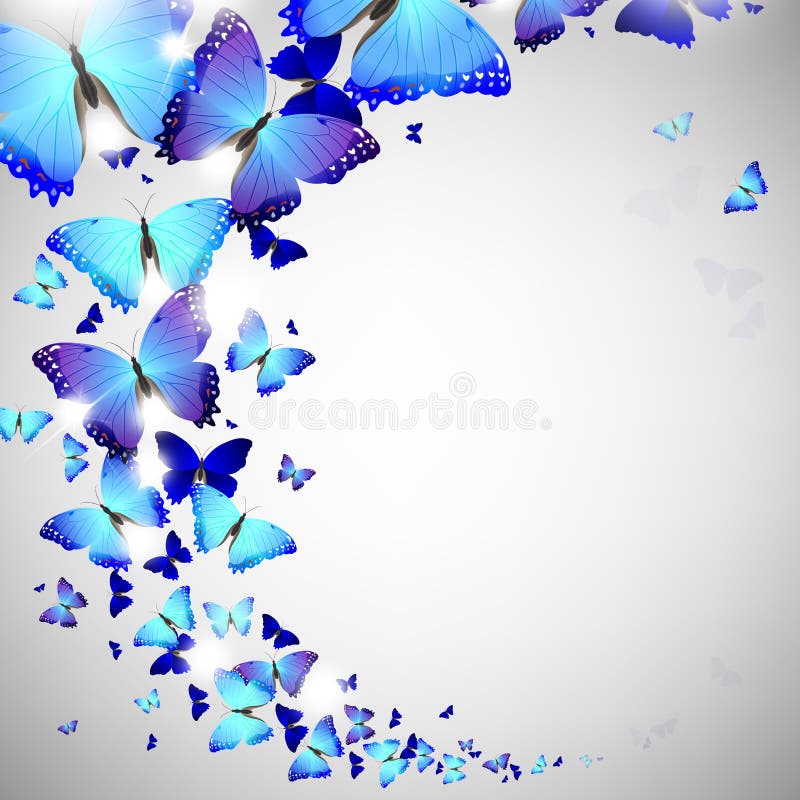 Blue Butterfly Vector Illustration Stock Vector Illustration of