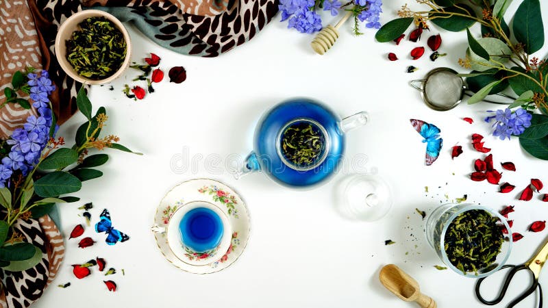 Blue Butterfly Pea Flower caffeine-free herbal tea creative concept layout.