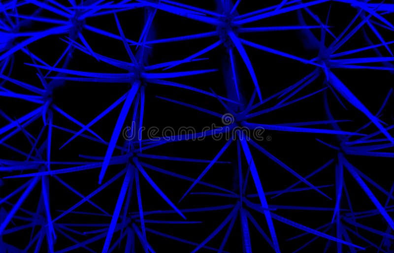 Blue cactus thorns background royalty free stock photos