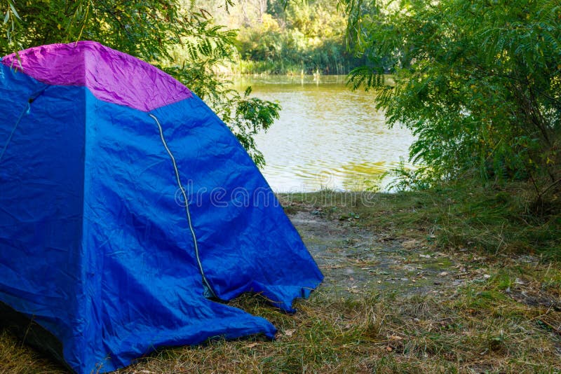Blue Camping Tent in Forest Near River Stock Photo Image of green