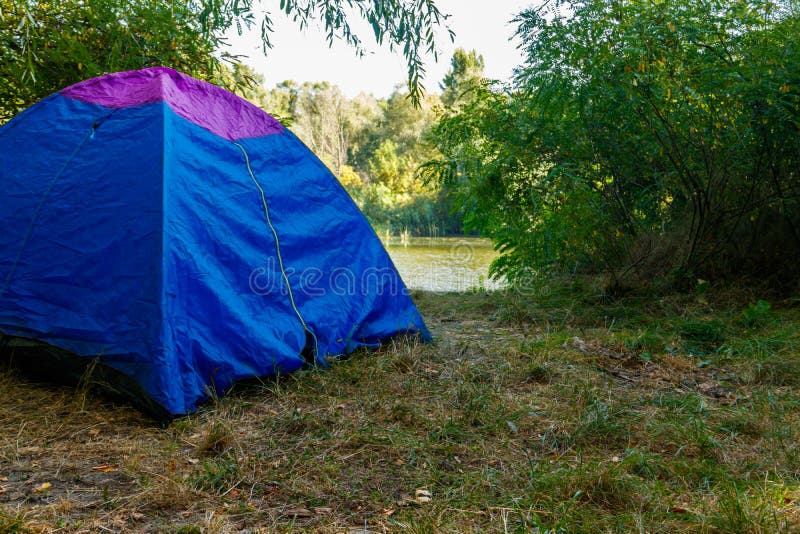 Blue Camping Tent in Forest Near River Stock Photo Image of beautiful