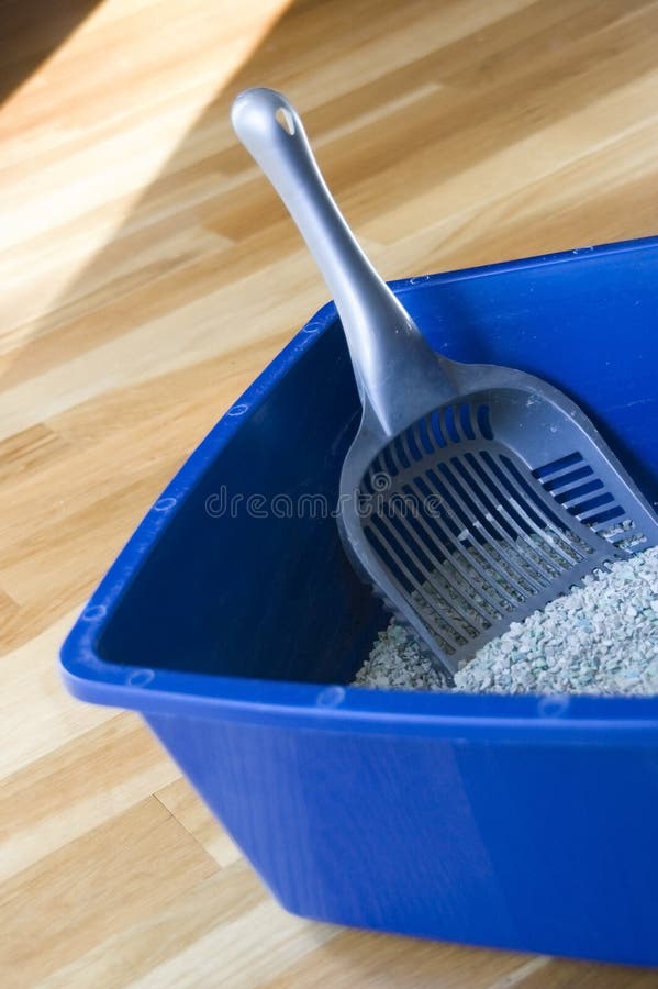 Blue cat box with litter stock image. Image of trained 1603081