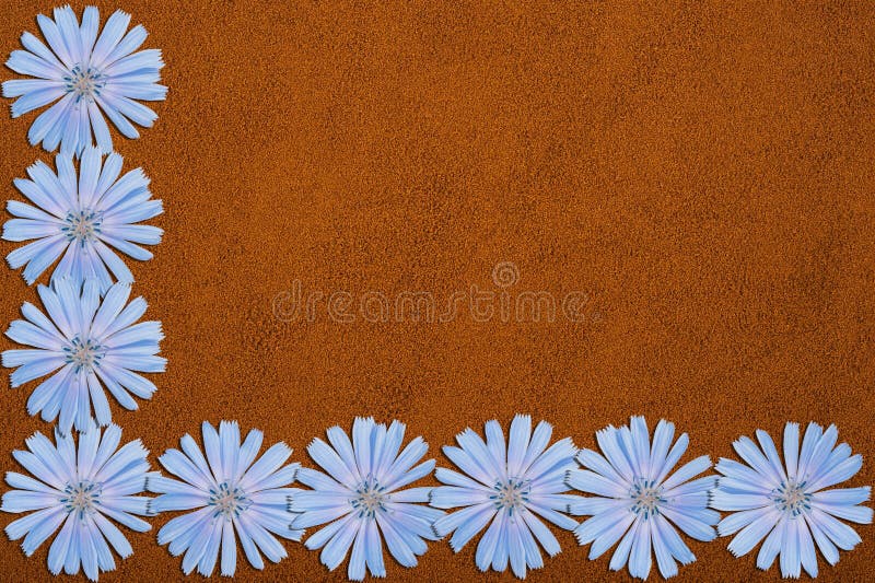 2,338 Powder Blue Flowers Stock Photos Free & RoyaltyFree Stock