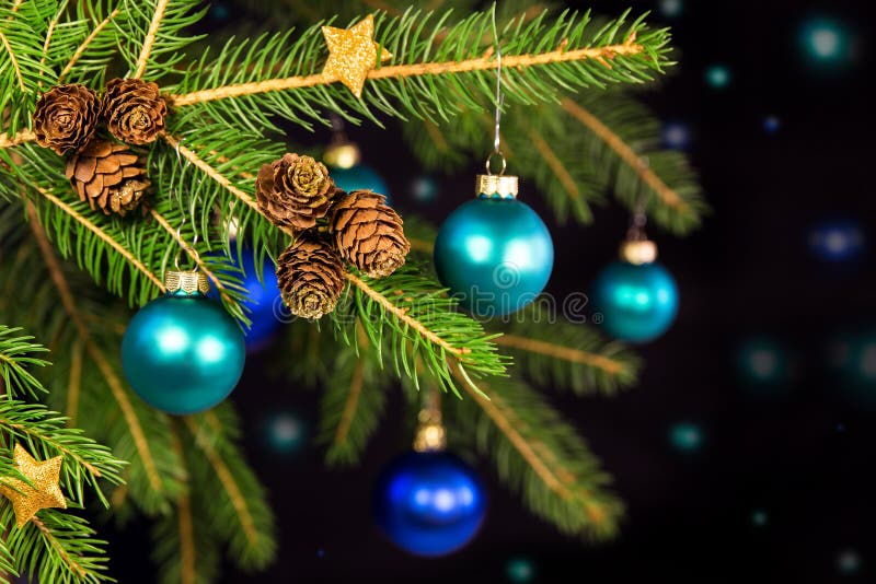 Blue Christmas Balls on a Branch Stock Photo Image of lights, hanging