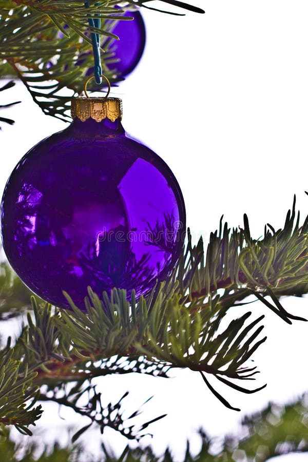 Purple Christmas Decoration Stock Photo Image of shiny, snow 6592826