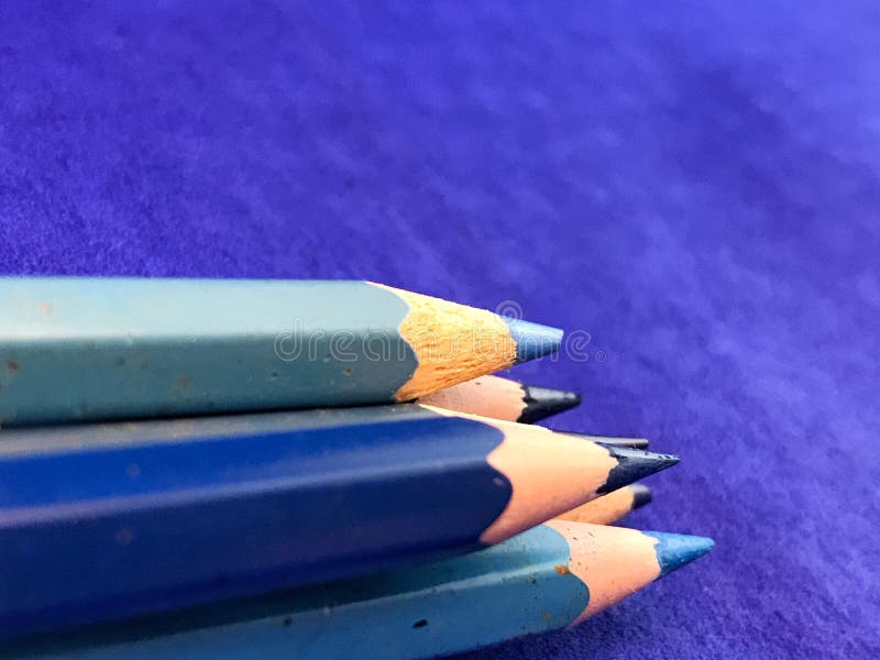 Blue colored pencils stock photo. Image of powerpoint 240689302