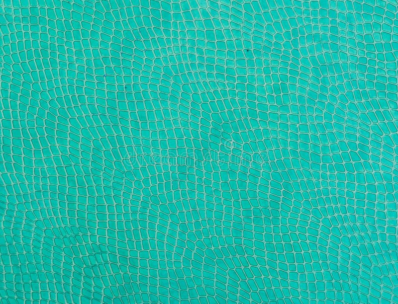 Blue colorful snake natural pattern on a background. patterns royalty free stock photos