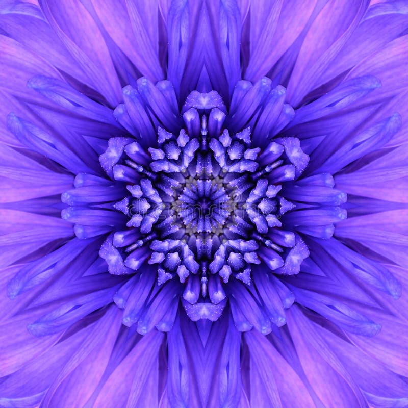 Blue Concentric Flower Center. Mandala Kaleidoscopic design. Blue Concentric Flower Center Macro Close-up. Mandala Kaleidoscopic design stock image Blue Concentric Flower Center. Mandala Kaleidoscopic design. Blue Concentric Flower Center Macro Close-up. Mandala Kaleidoscopic design stock image