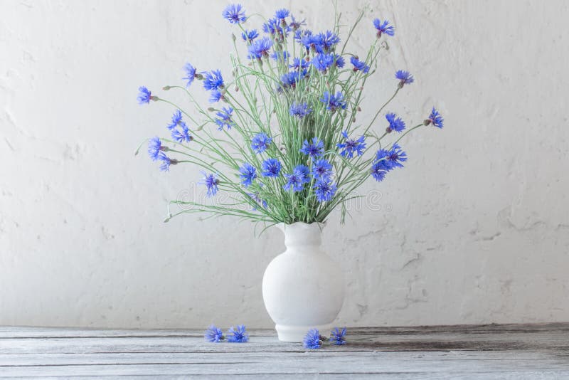 Blue cornflowers in vase stock photo. Image of nature 85301442