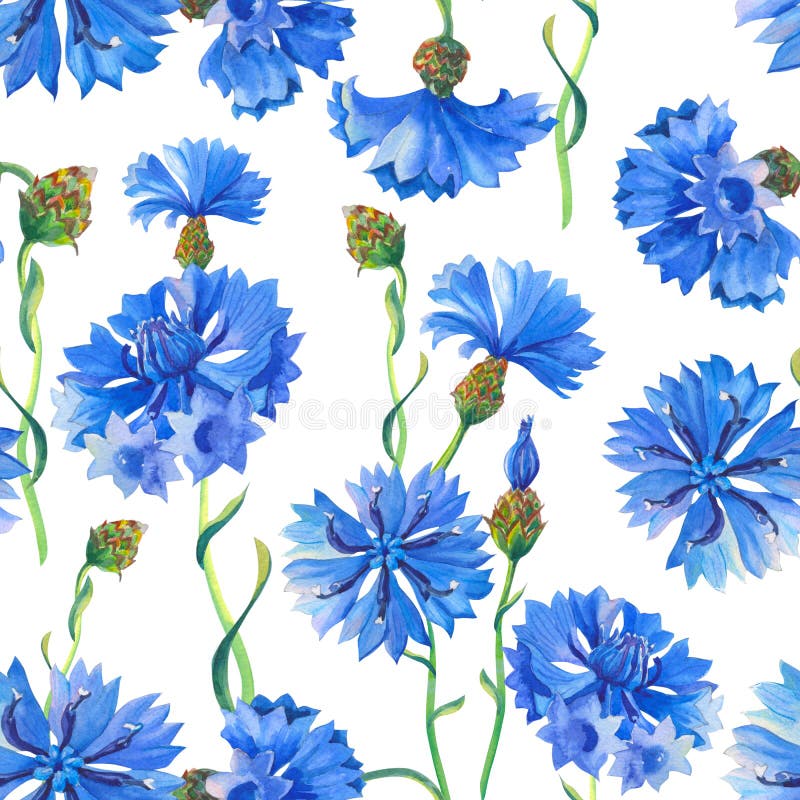 Flower Bouquet Wrapping Paper Stock Photos - 131,319 Images