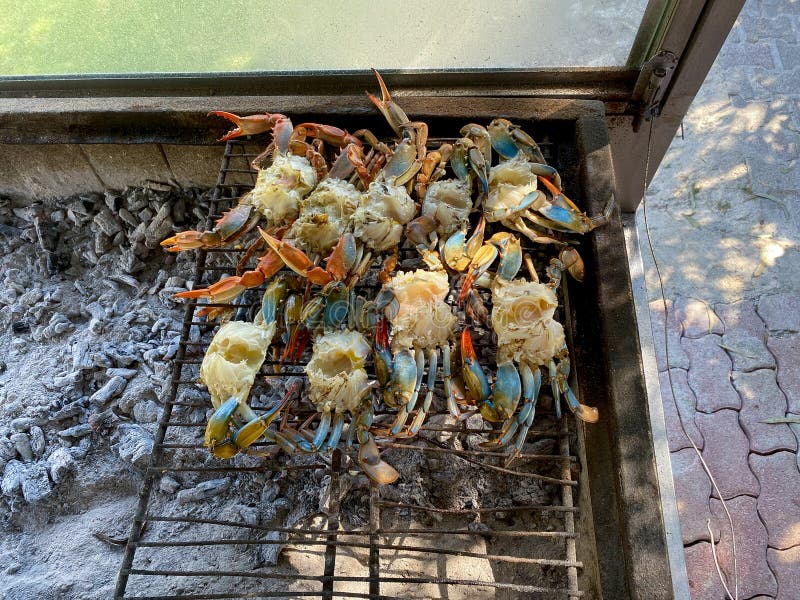 Blue Crab Cooked on the Grill Stock Photo Image of blue, closeup