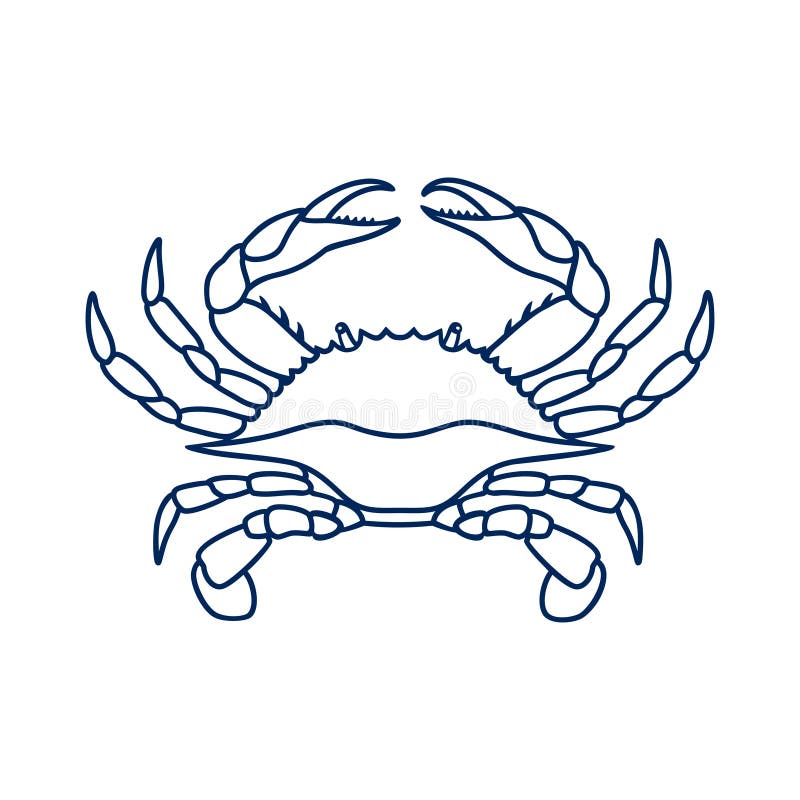 Blue crab on white background. 