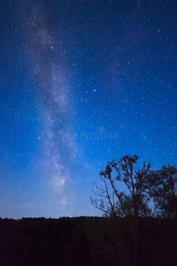 Blue dark night sky with many stars above field of trees. royalty free stock photo Blue dark night sky with many stars above field of trees. royalty free stock photo